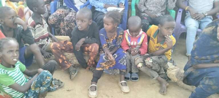 IMG20250214173452 scaled